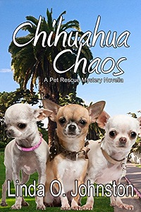 Chihuahua Chaos